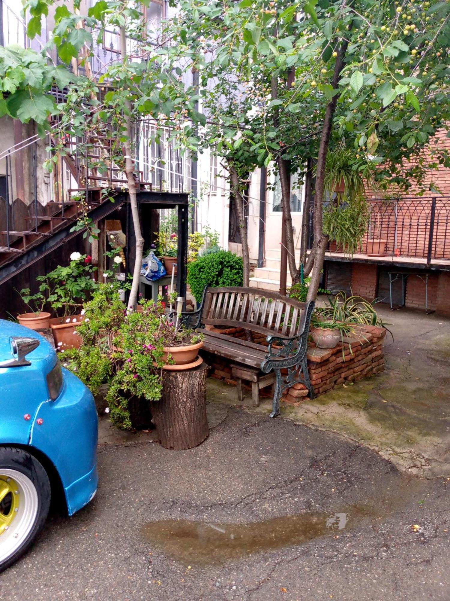 birdhome in Tbilisi  Dış mekan fotoğraf