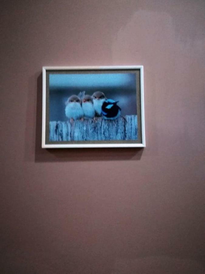 birdhome in Tbilisi  Dış mekan fotoğraf